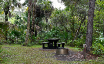 Pink Jeep Campground