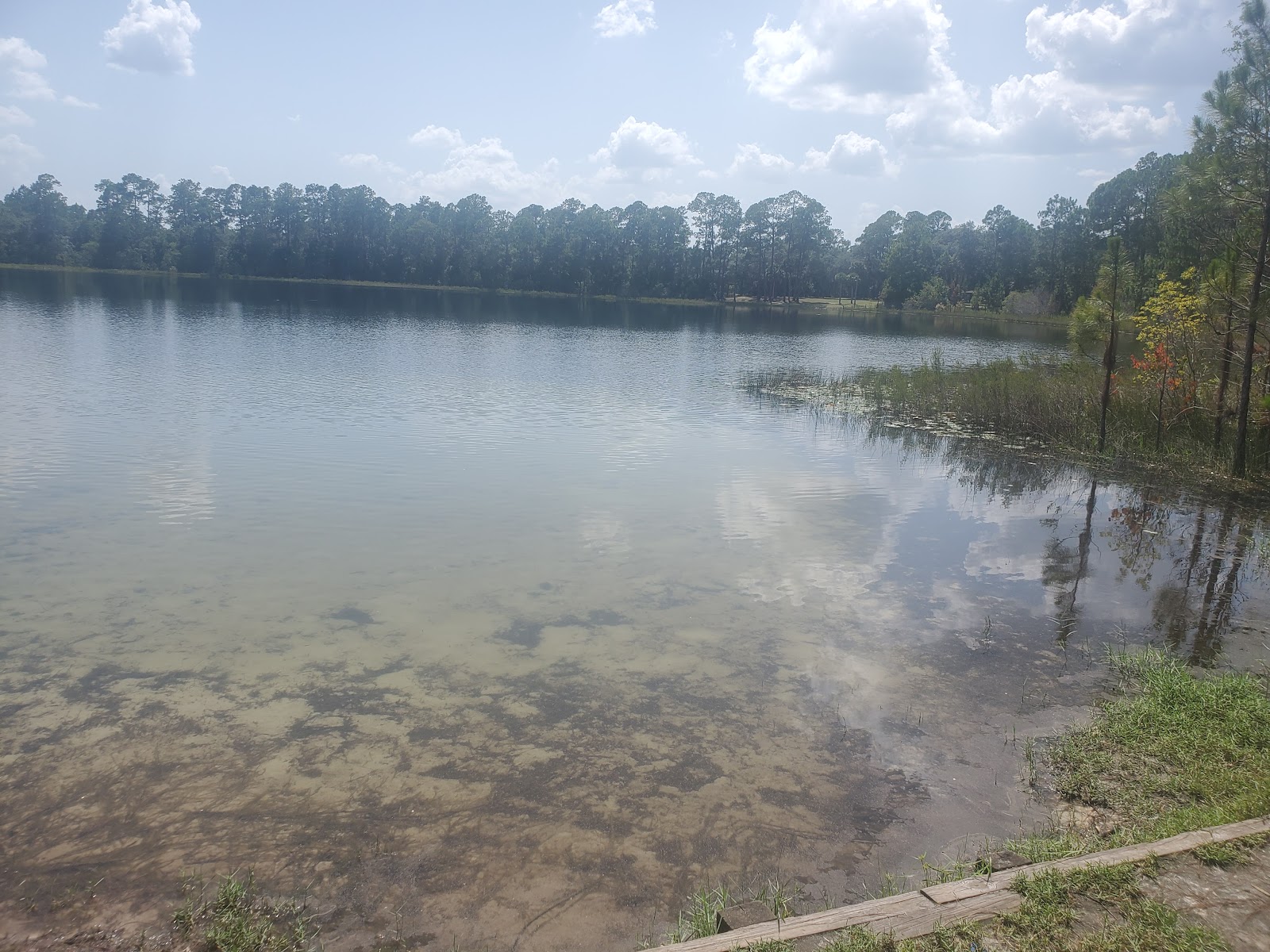 Lake Shore Group Camp