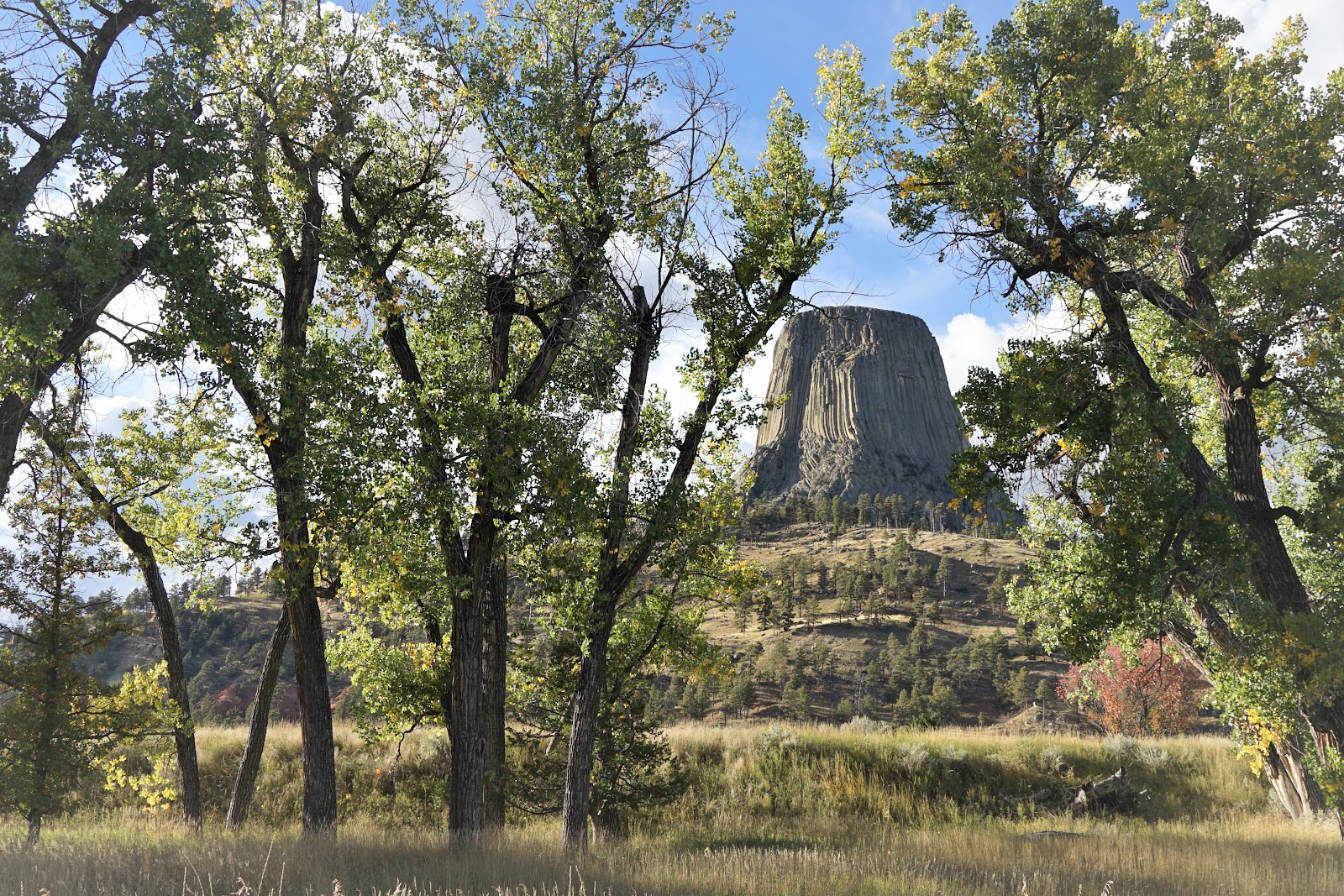 Belle Fourche River Campground