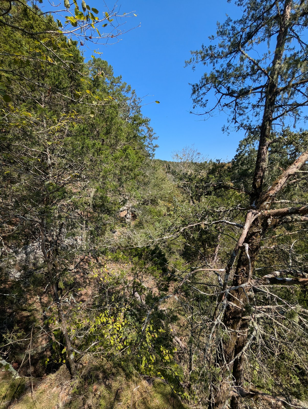 Big Creek Natural Area