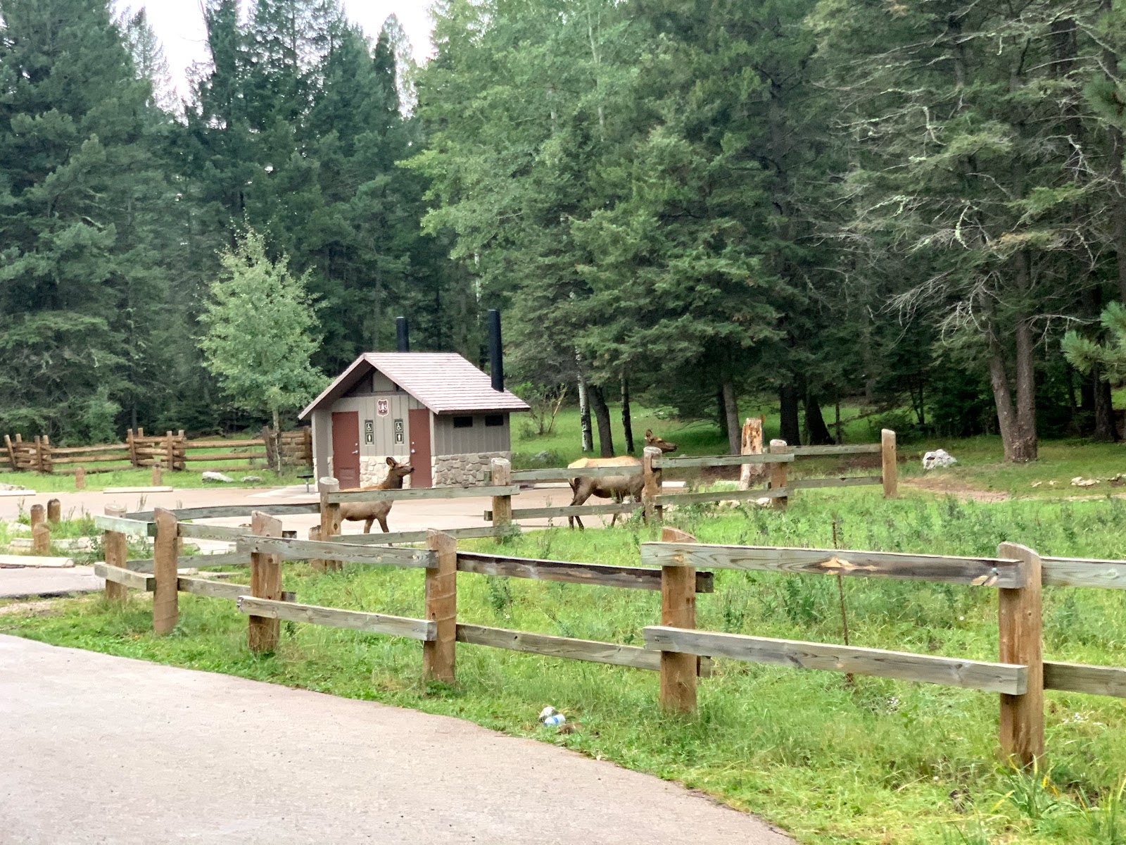Black Bear Group Campground