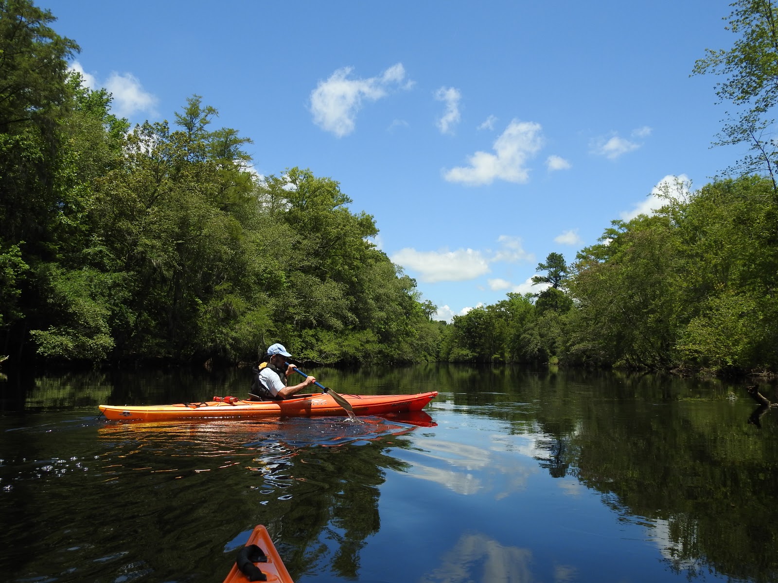 Lumber River State Park