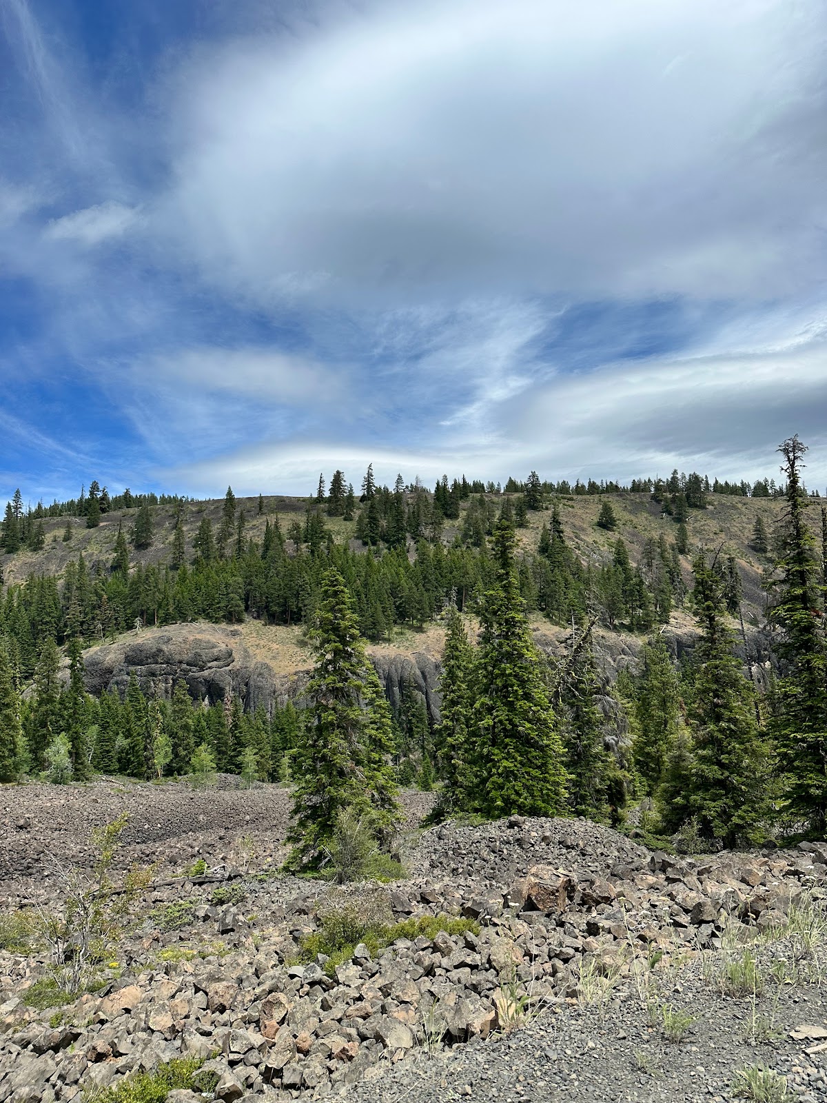 Manastash Campground