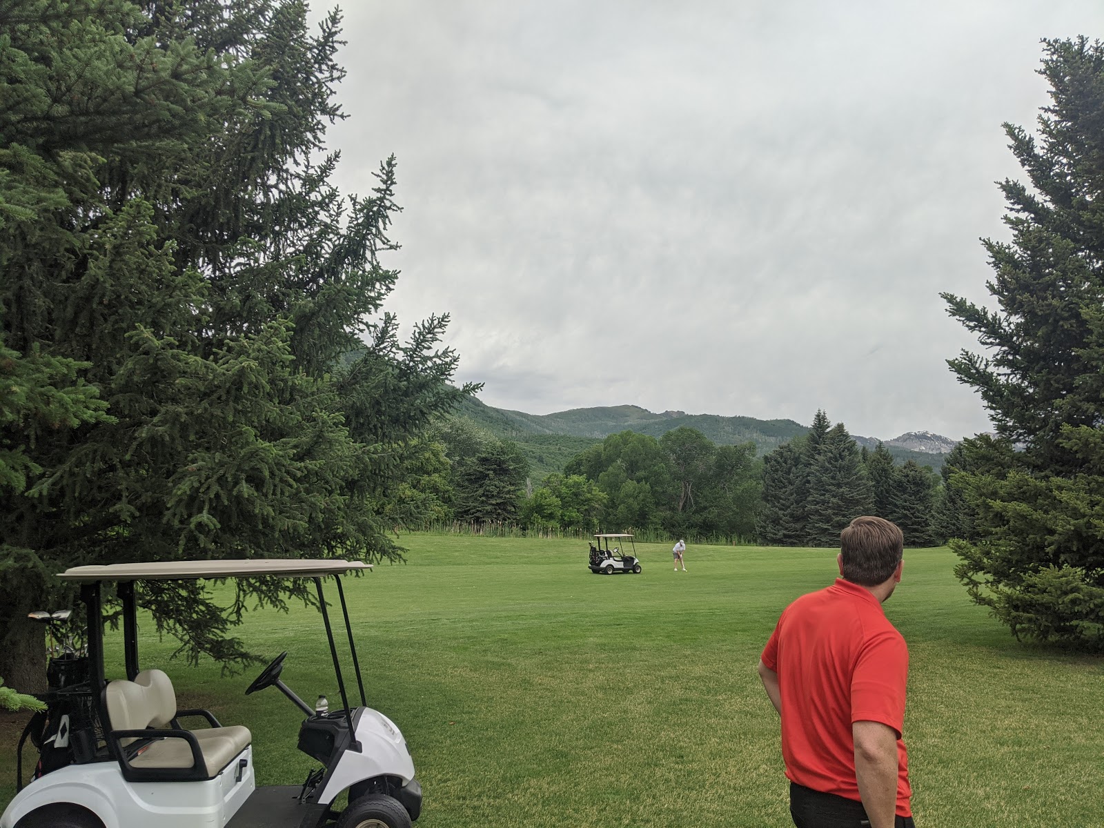 Mahogany - Wasatch Mountain State Park