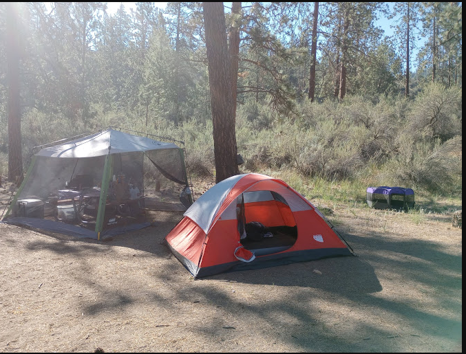 Jones Bay Campground