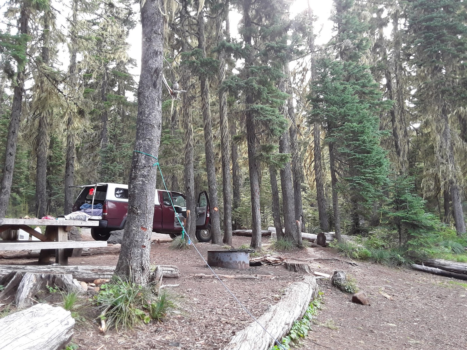 Scott Lake Campground