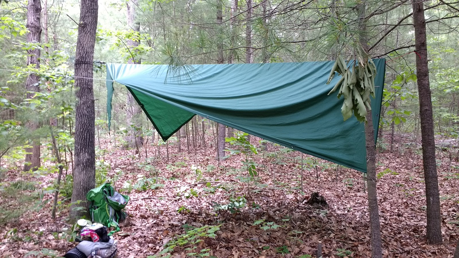 Heavenly Acres Campground