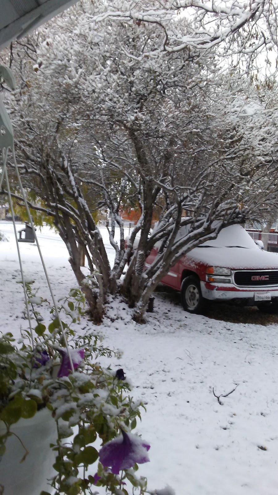 Payne Springs Campground