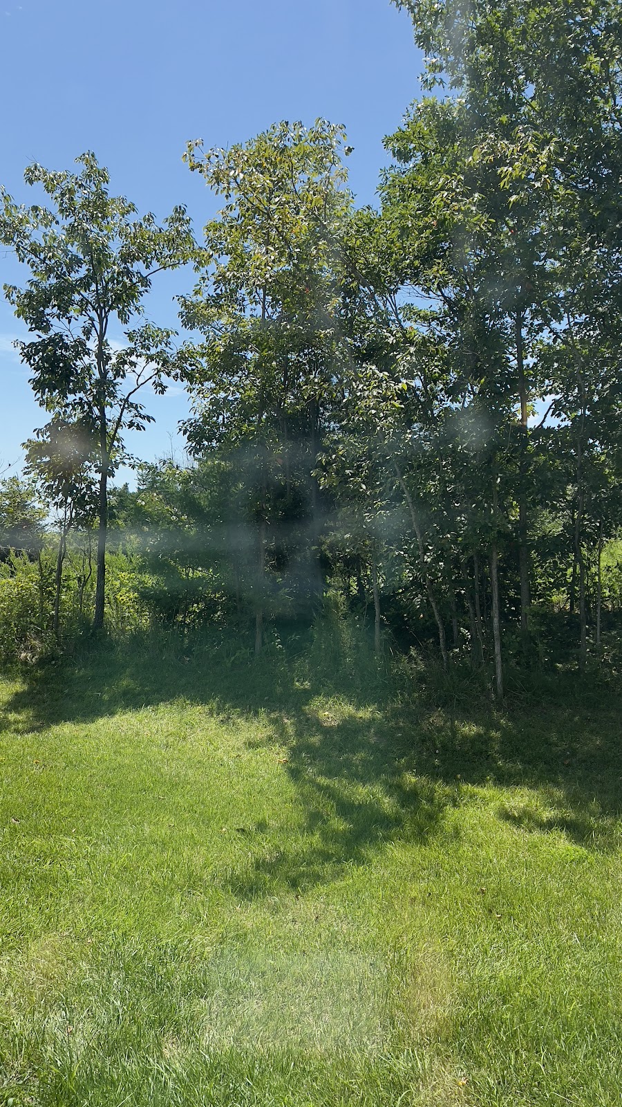 Lake Wappapello State Park