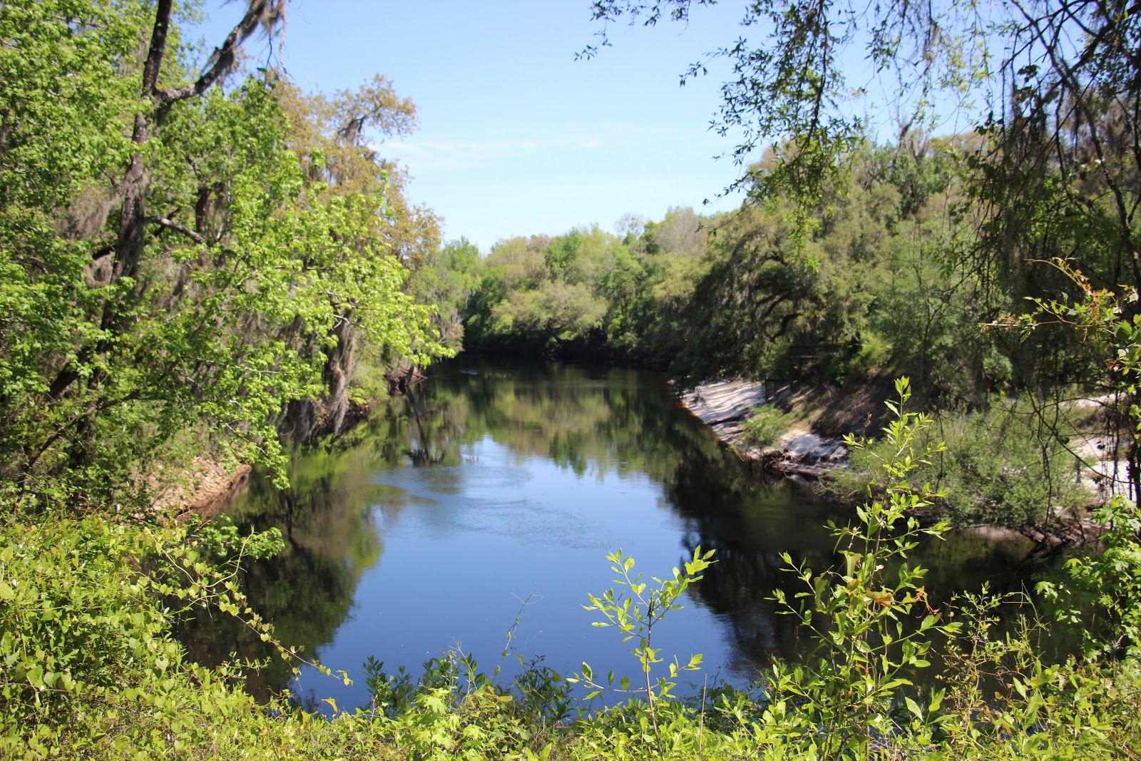 Spirit of the Suwannee Music Park & Campground