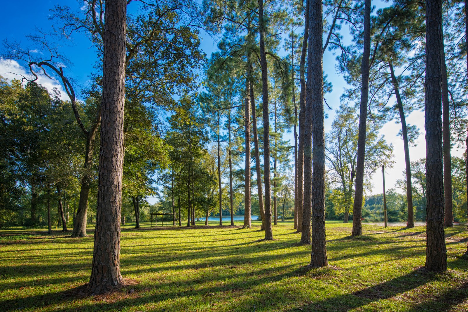 BASS LAKE RESORTS, INC