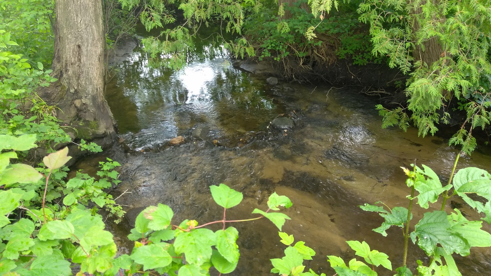 Everflowing Waters Campground
