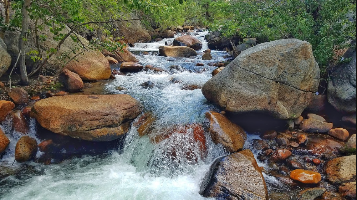 Forks Campground (Inyo)