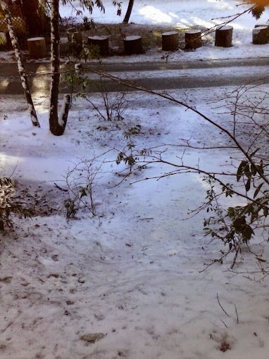 Creekside Cabins and RV Resort