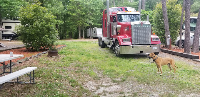 R and D Family Campground