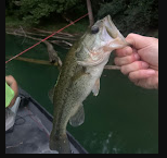 Rockwater Campground