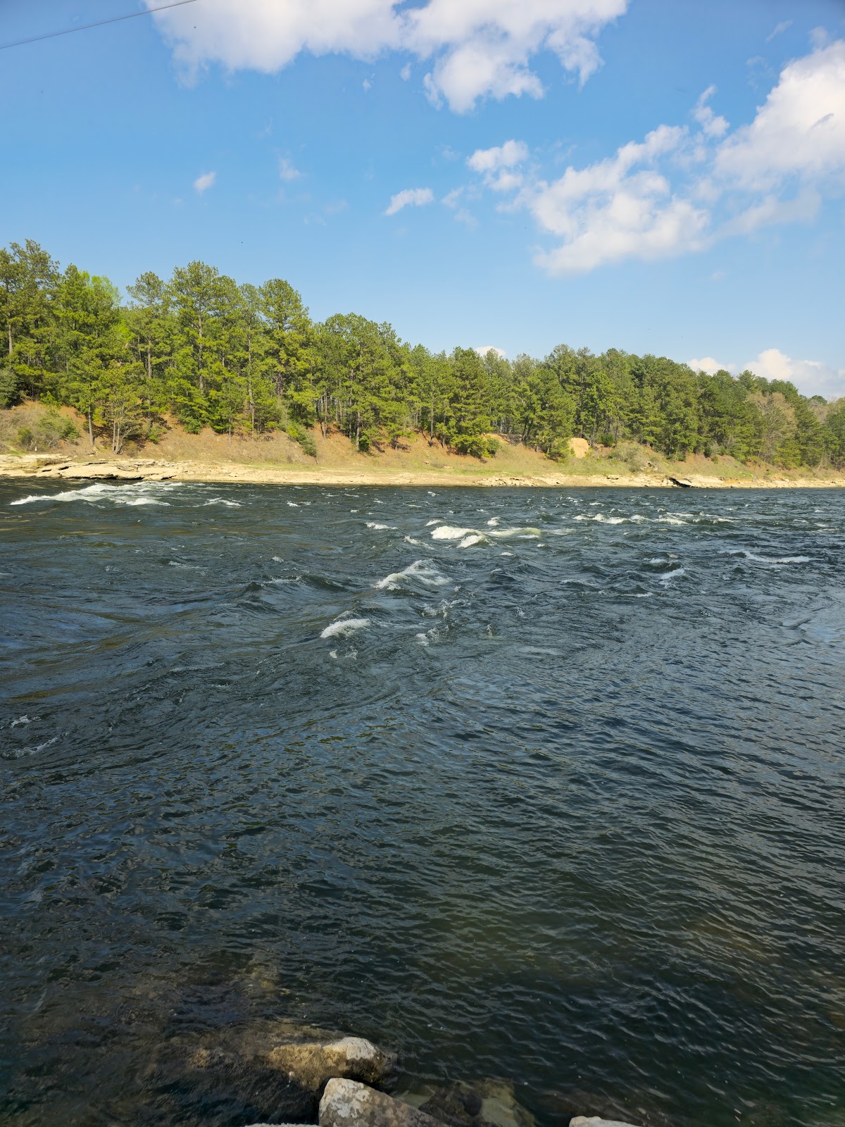Sam Forse Collins Recreation Area
