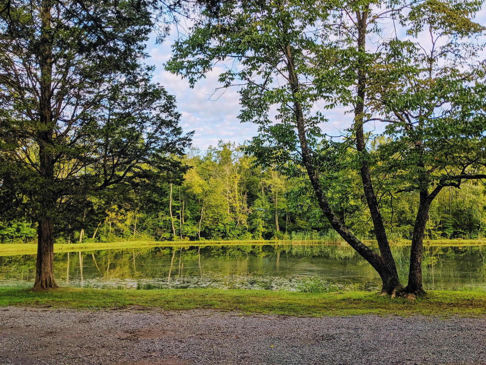 Colonial Woods Family Camping Resort