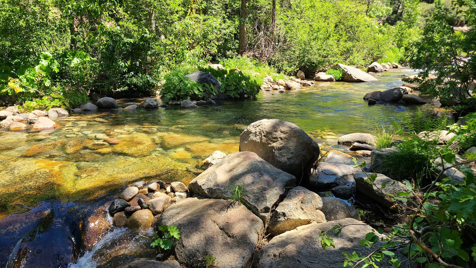Middle Fork Cosumnes Campground