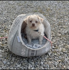 Riverbreeze Campground & RV