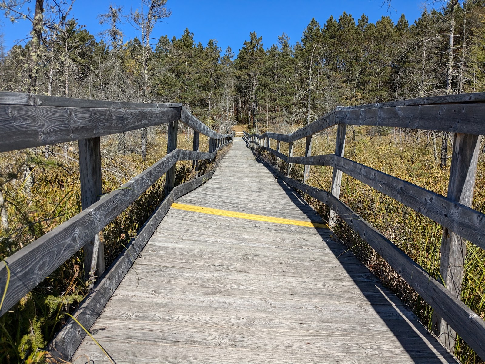 Glidden Lake State Forest Campground