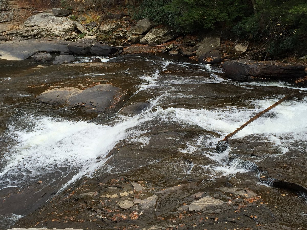 Swallow Falls State Park