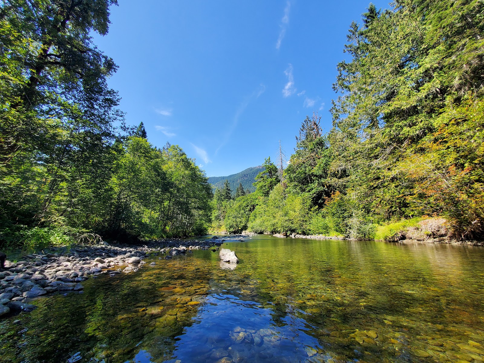 Hamma Hamma Campground