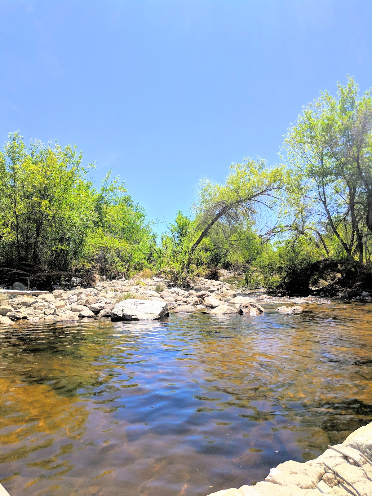 Sabino Canyon Recreation Area Cactus Ramada 2