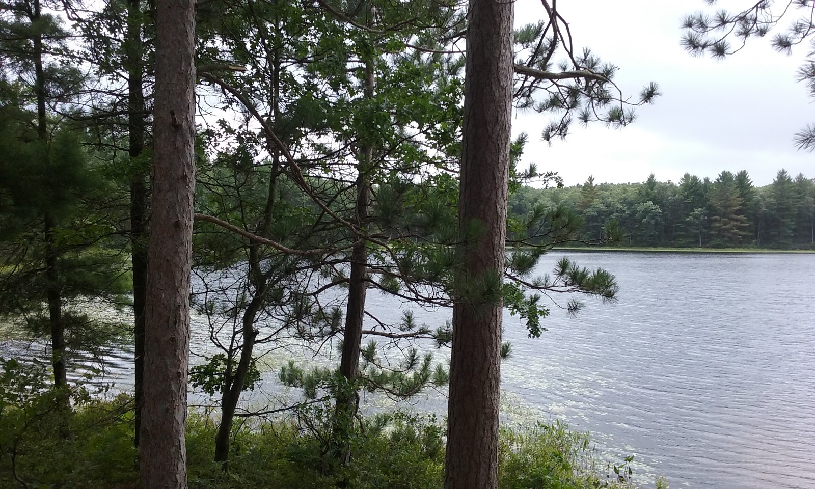 Shelley Lake Campground