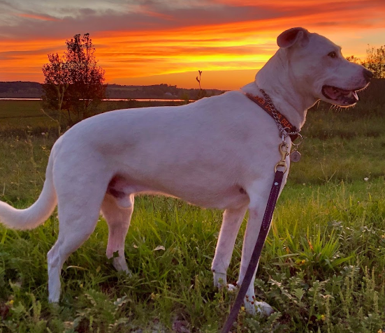 Kewaunee Village Camping