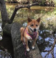 Oscar Sherer State Park