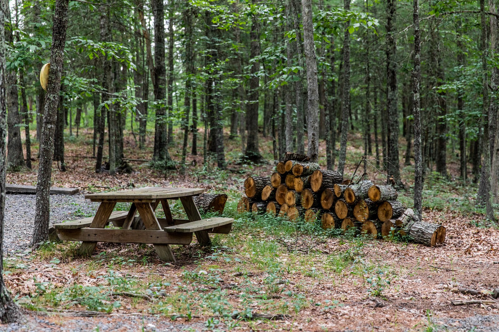 Cold Sulphur Camp Ground