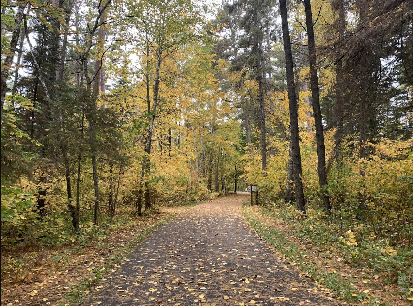 Lake Bemidji State Park