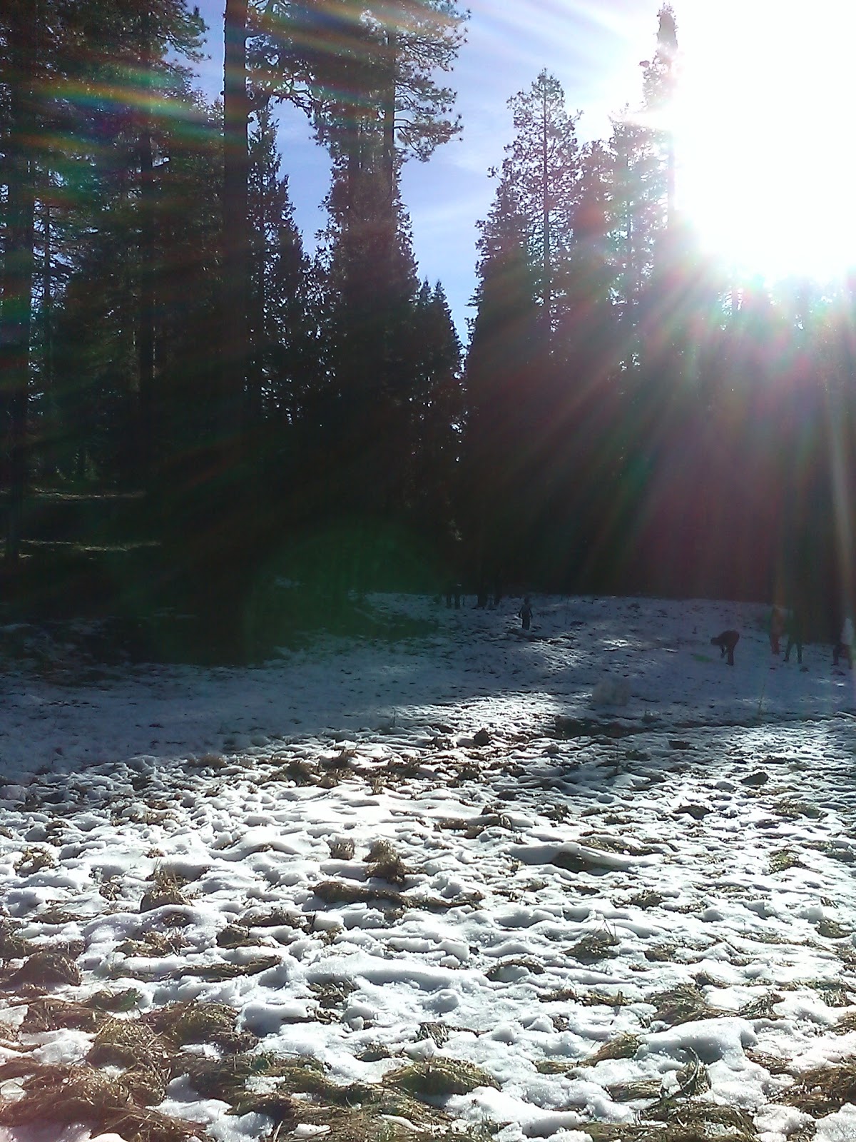 Meadow View Campground