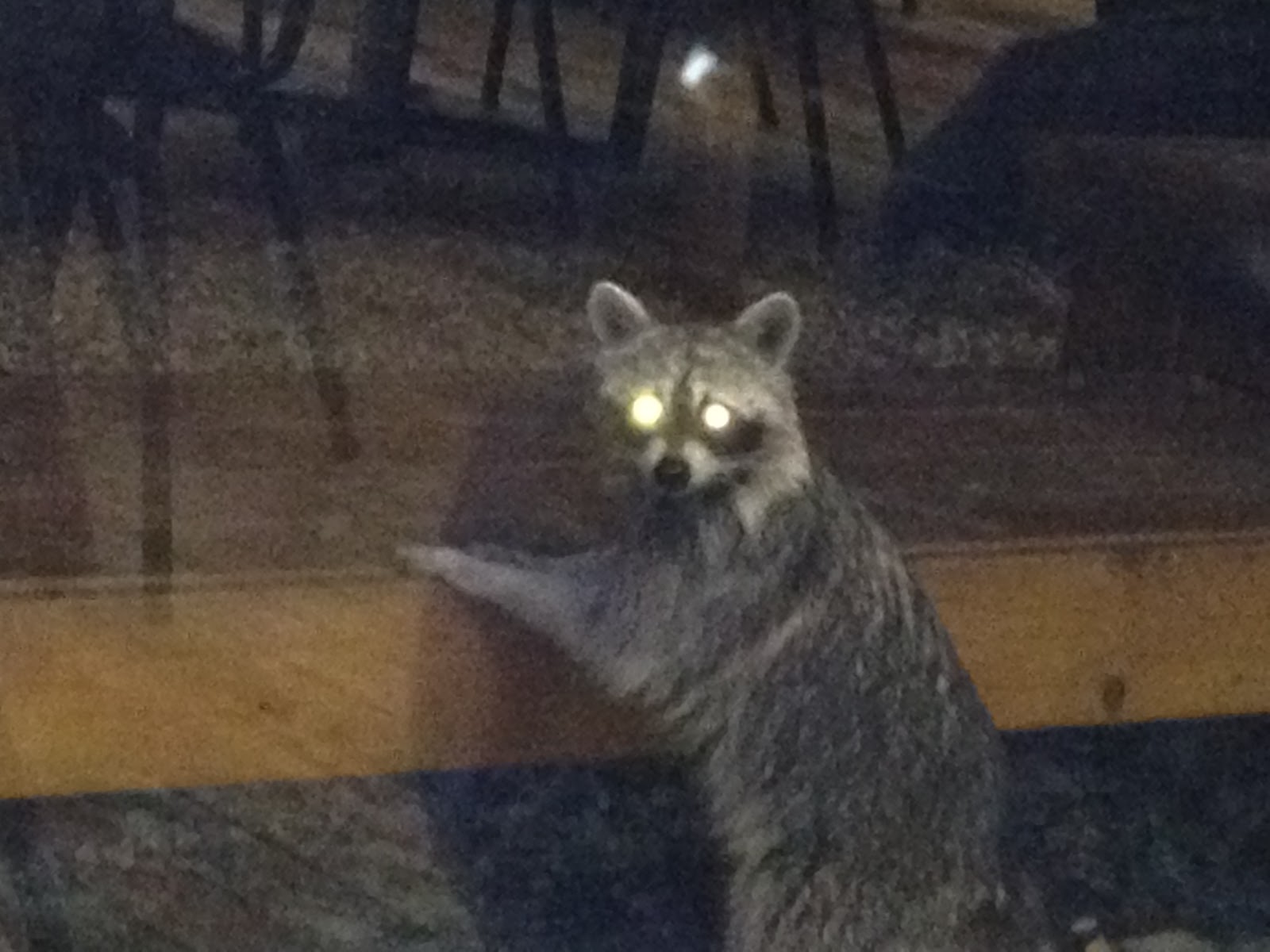 Devils Tower / Black Hills KOA Journey