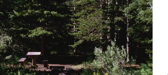 Buckingham Campground - Fourth of July