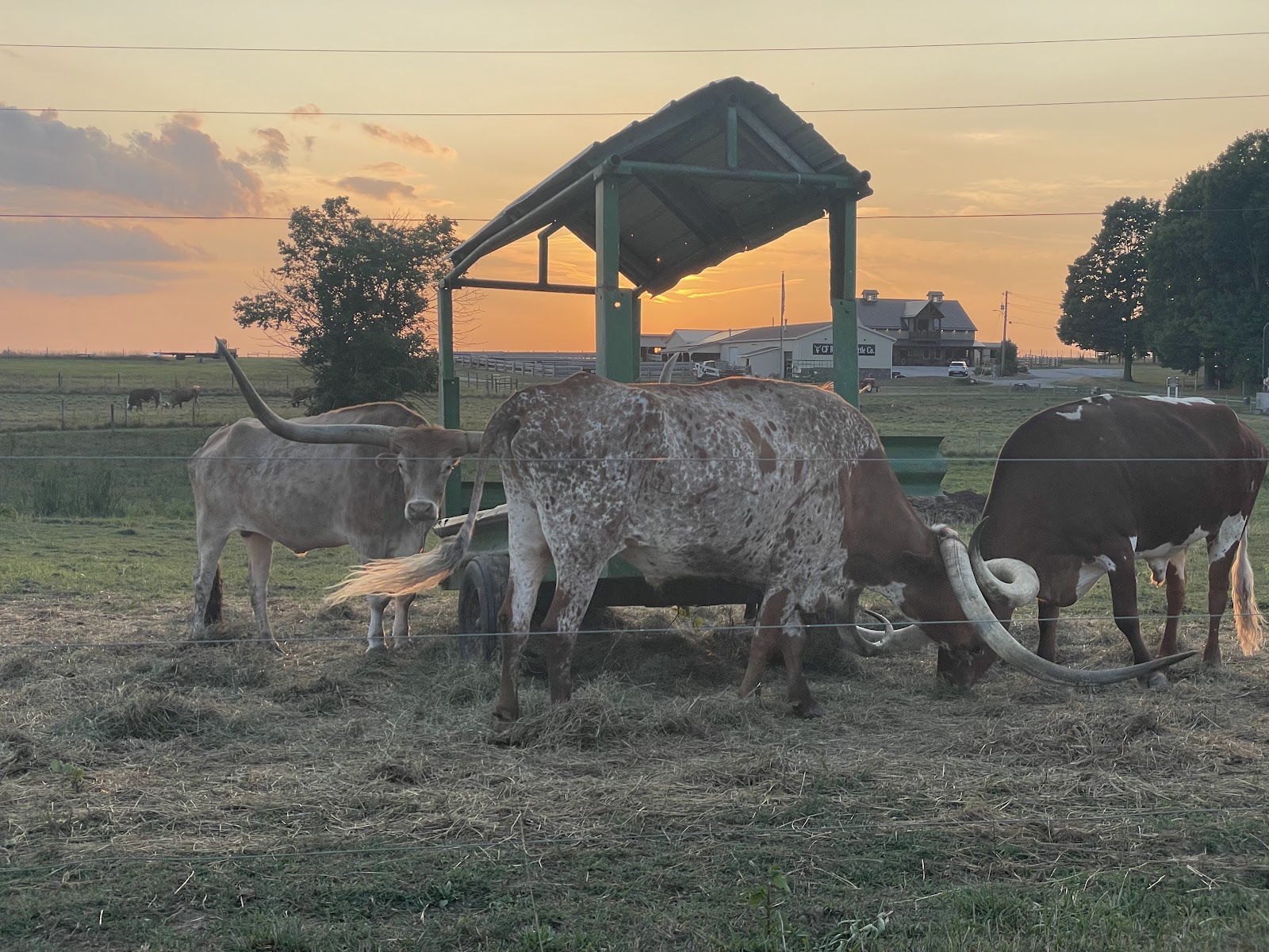 CF Ranch & Cattle Company Campground
