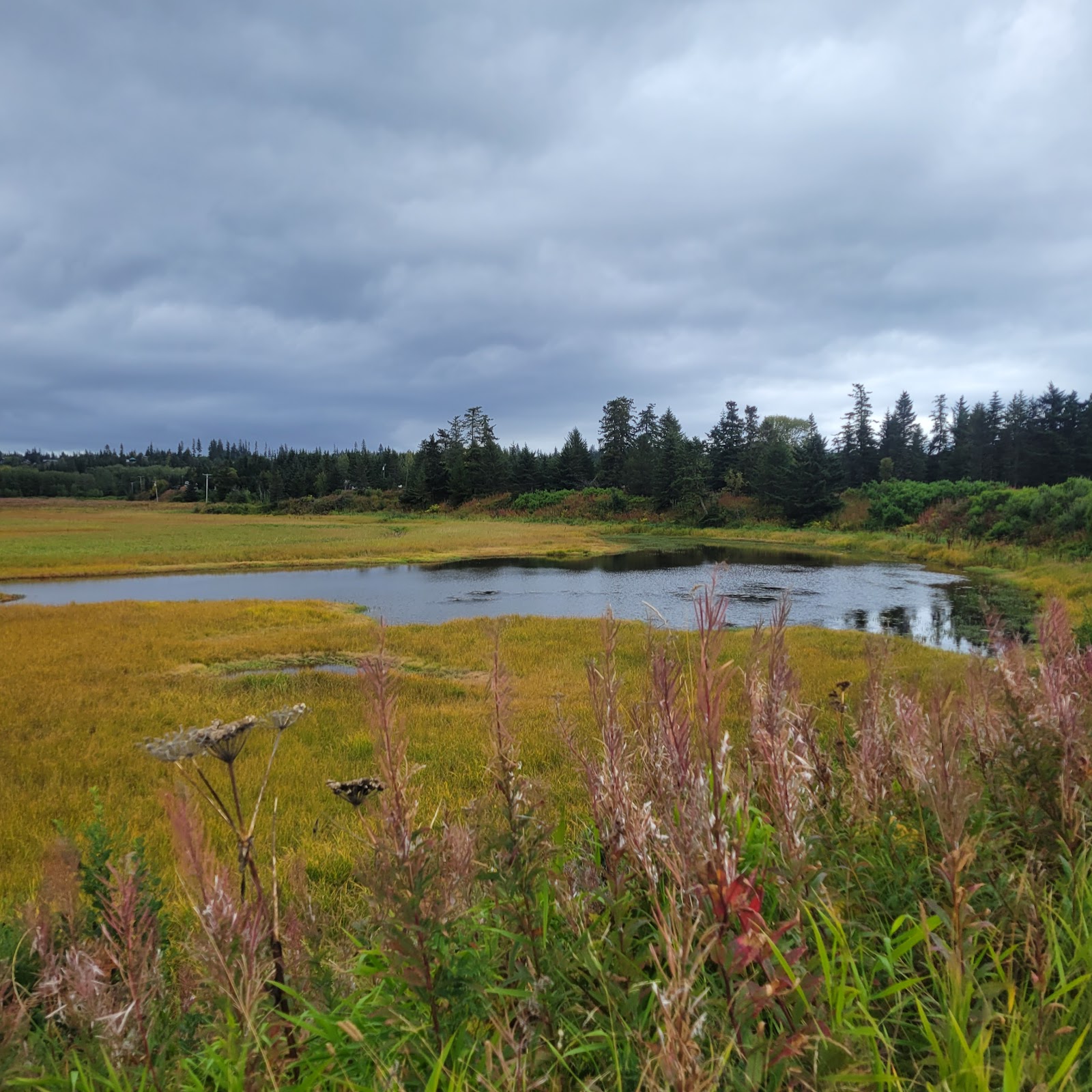 Anchor River State Recreation Area