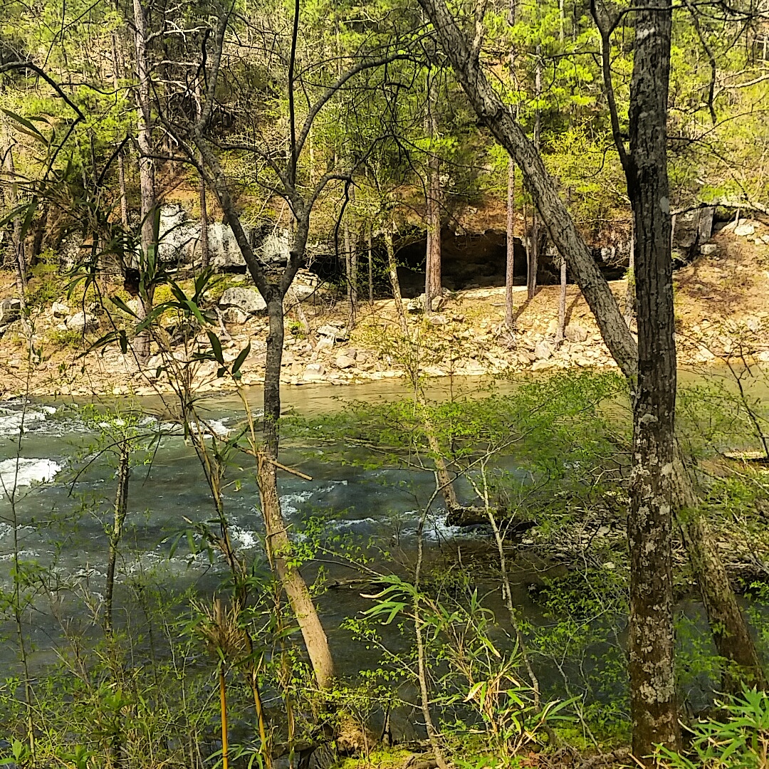 Cadron Creek Outfitters