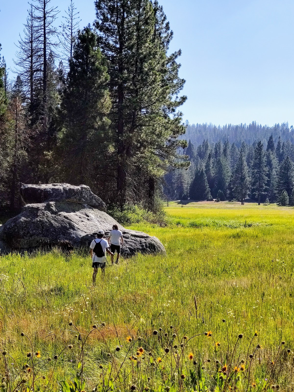 Logger Flat Group Campground