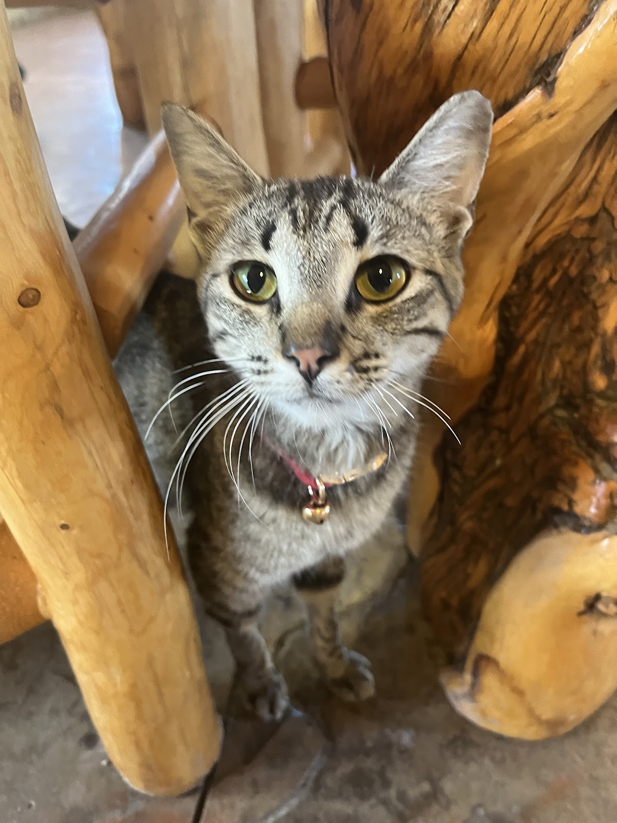 Sundance – High Plains RV Park & Cabins