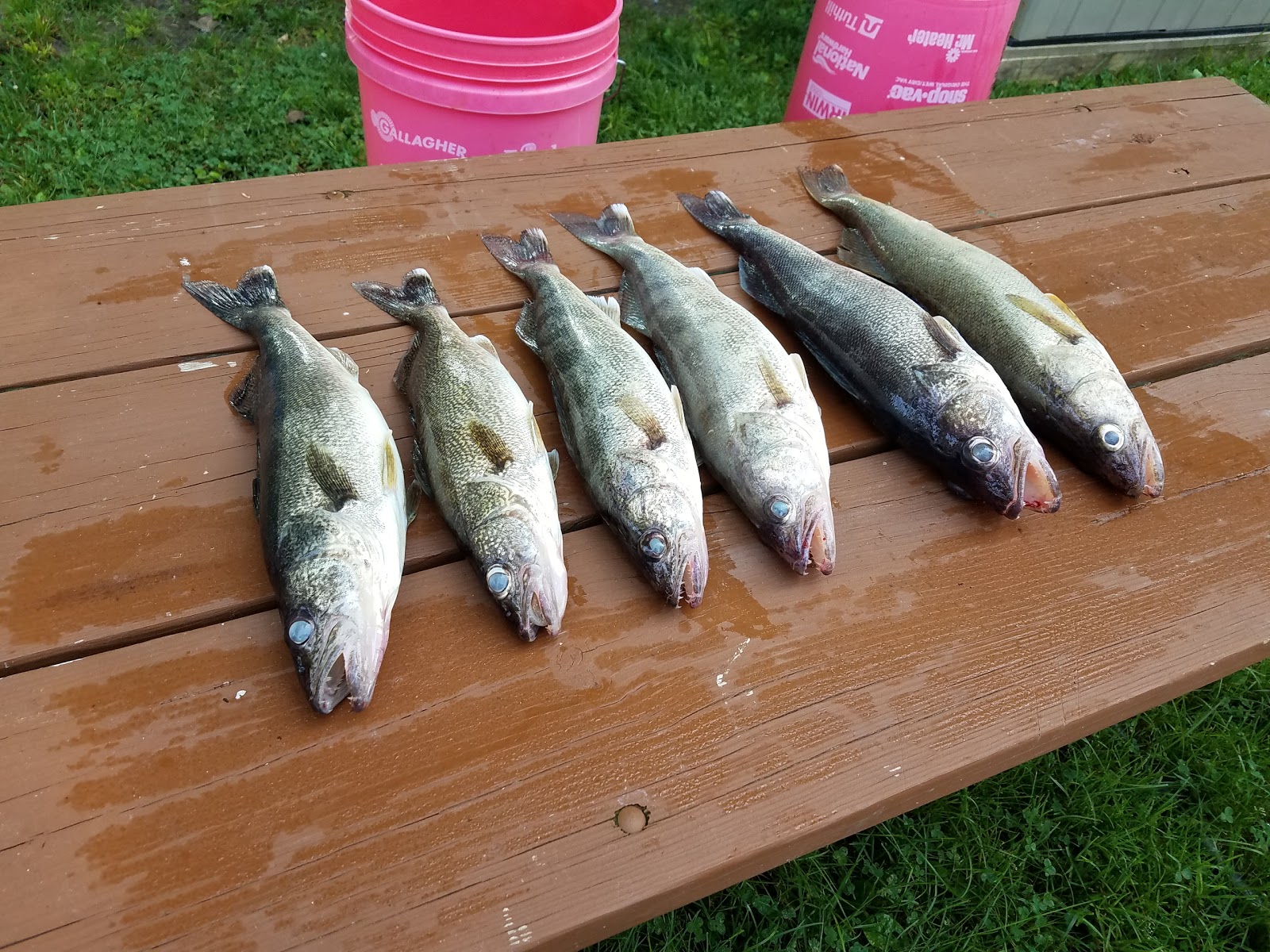 Lone Pine Camp Grounds