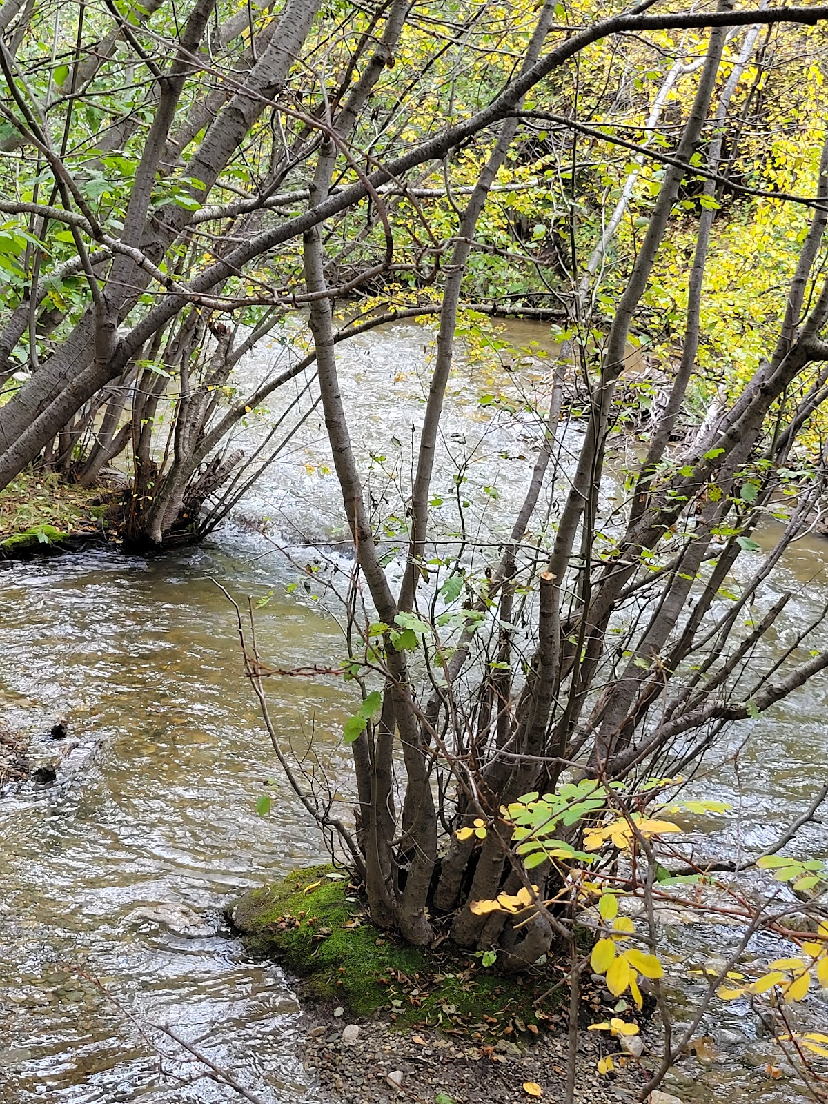 Lower Hondo Campground