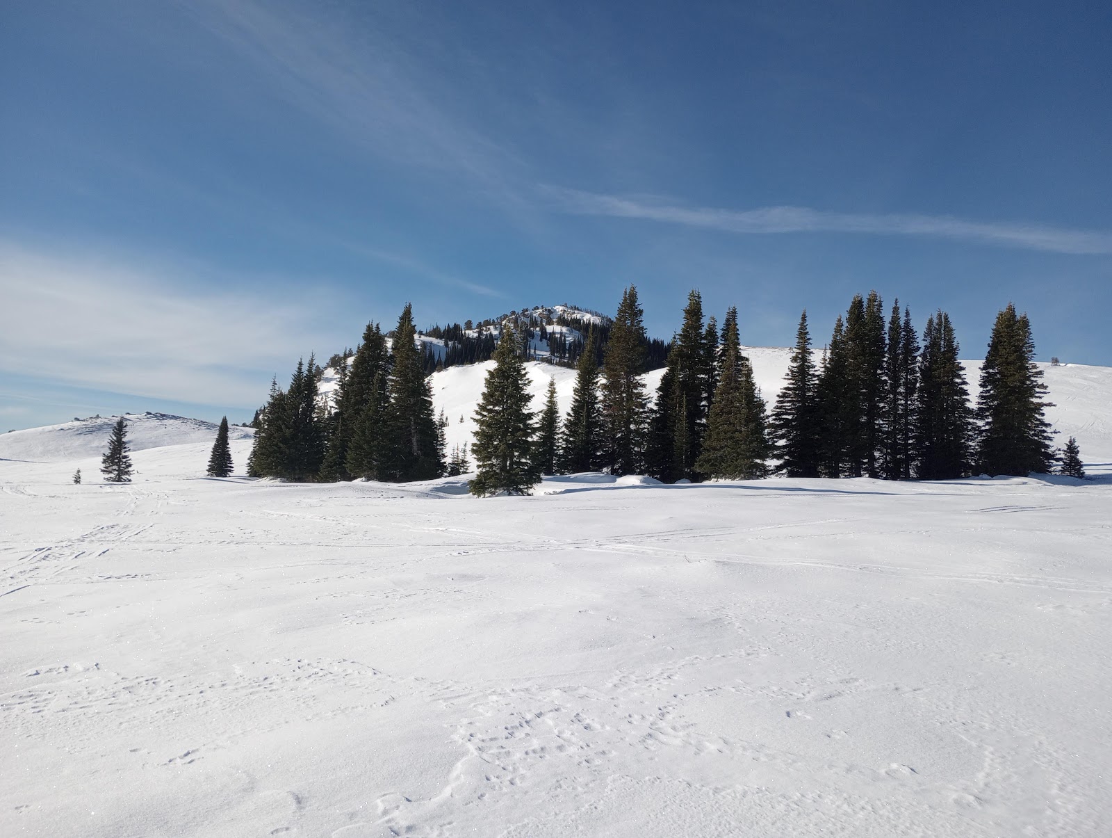 Thompson Flat Campground