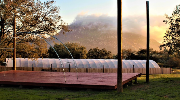 The Good Vibes Worldwide Networkrmation