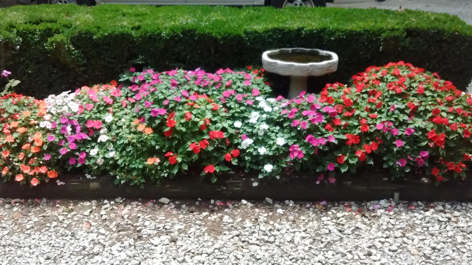 Travelers Rest /N Greenville KOA