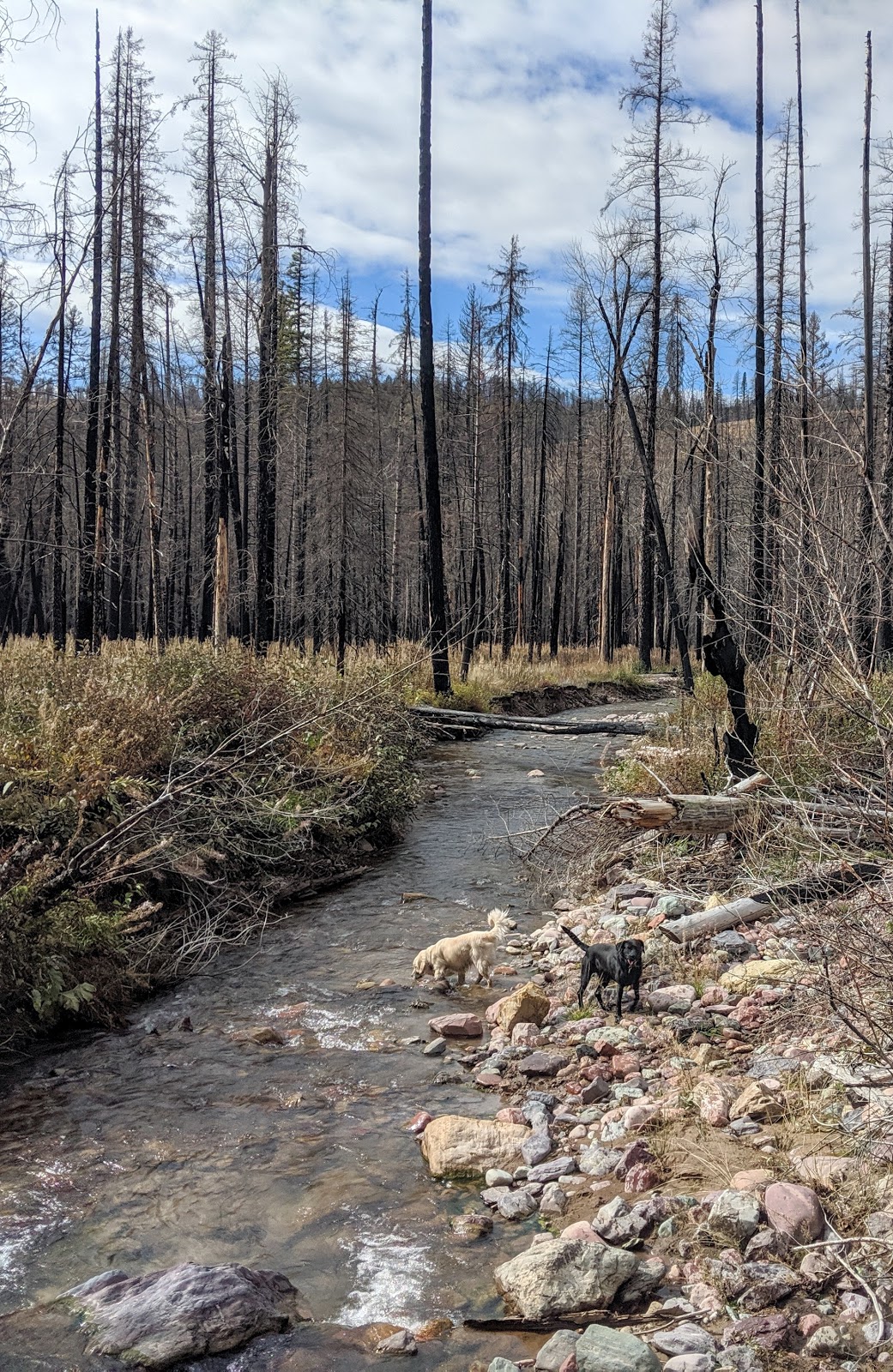 Monture Creek Campground