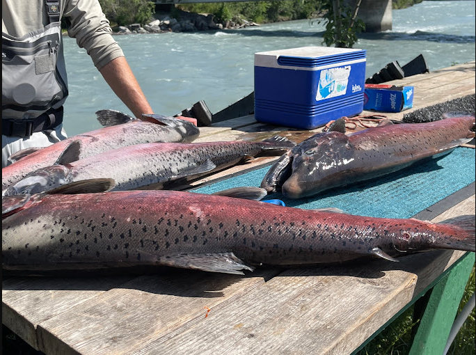 Groves Klutina River Fish Camp