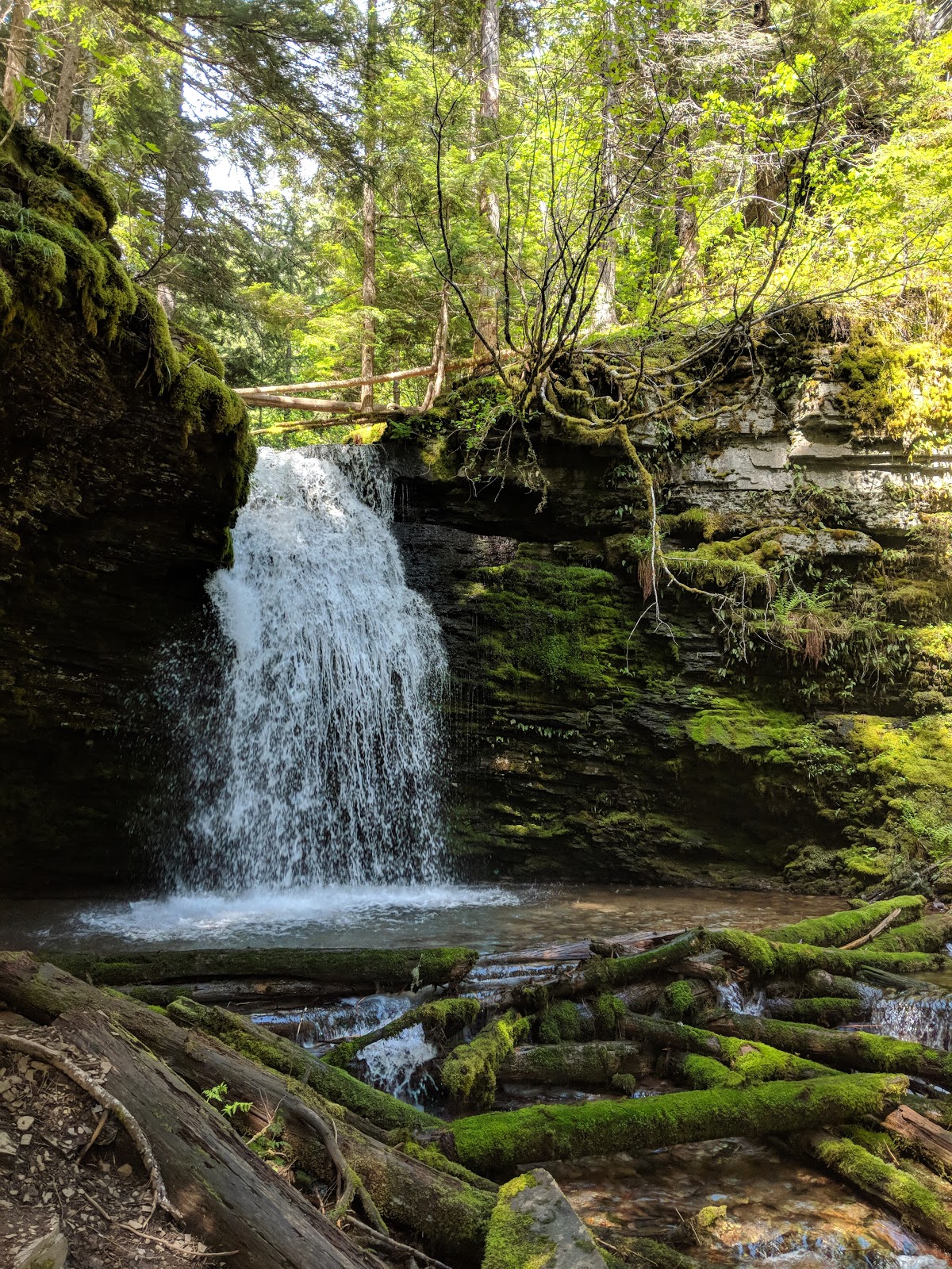 Devils Elbow Campground