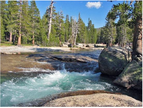 Meadows Group Campground